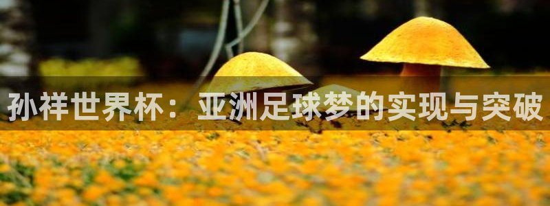 世界杯官网入口：孙祥世界杯：亚洲足球梦的实现与突破