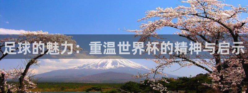 世界杯对阵图2026：足球的魅力：重温世界杯的精神与启示
