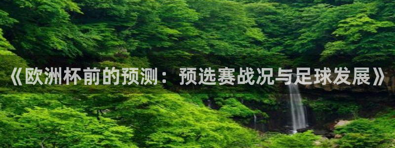 2026世界杯赛程时间表最新：《欧洲杯前的预测：预选赛战况与足球发展》