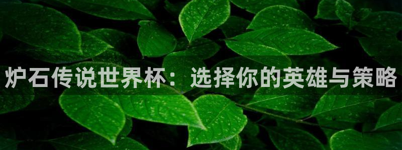 2026足球世界杯赛程：炉石传说世界杯：选择你的英雄与策略