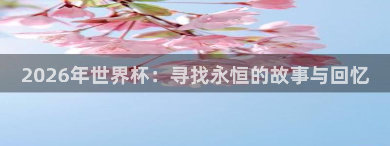 世界杯足球赛：2026年世界杯：寻找永恒的故事与回忆