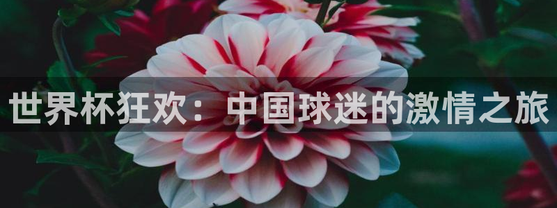 2026足球世界杯：世界杯狂欢：中国球迷的激情之旅