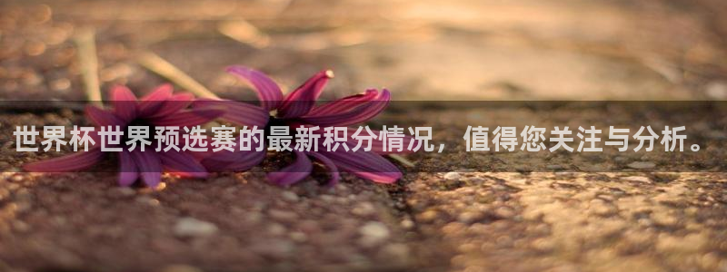 足球世预赛：世界杯世界预选赛的最新积分情况，值得您关注与分析。