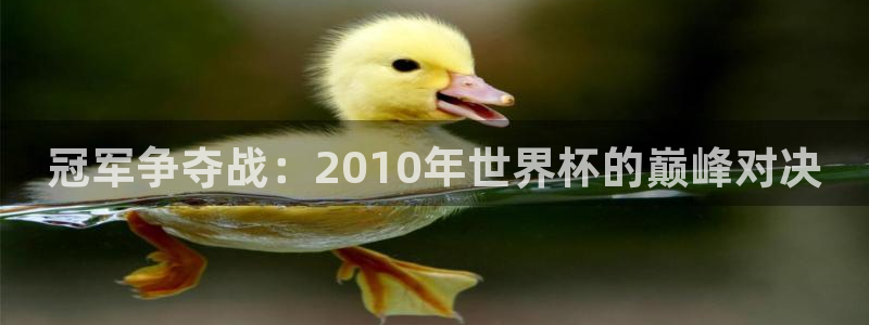 足球世界杯：冠军争夺战：2010年世界杯的巅峰对决