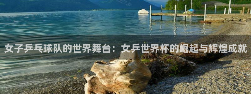 2026世界杯赛：女子乒乓球队的世界舞台：女乒世界杯的崛起与辉煌成就