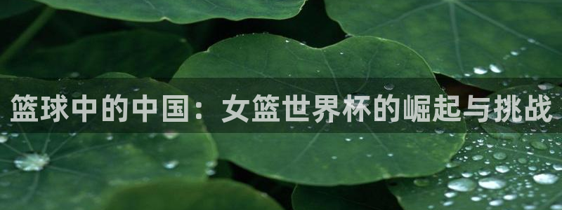 世界杯官网入口：篮球中的中国：女篮世界杯的崛起与挑战
