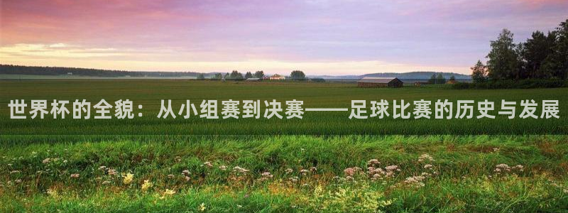 世界杯女足直播：世界杯的全貌：从小组赛到决赛——足球比赛的历史与发展