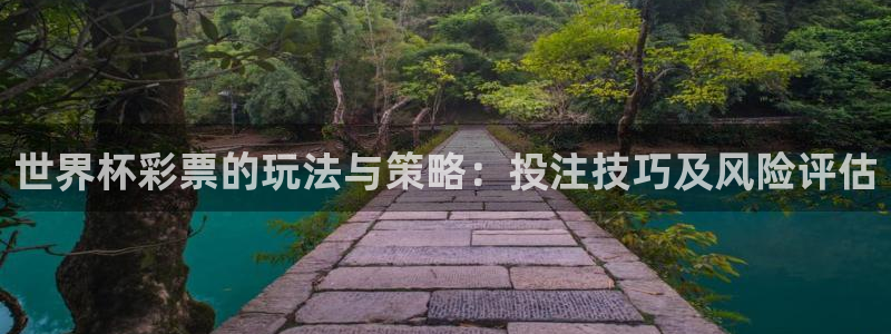 世预赛欧洲赛程表：世界杯彩票的玩法与策略：投注技巧及风险评估