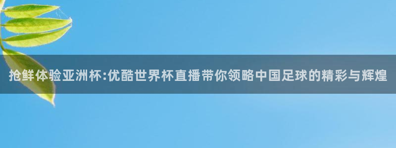 足球杯：抢鲜体验亚洲杯:优酷世界杯直播带你领略中国足球的精彩与辉煌