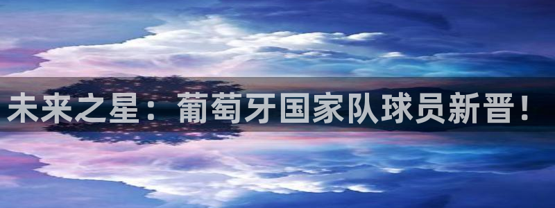 2026葡萄牙杯赛程表：未来之星：葡萄牙国家队球员新晋！