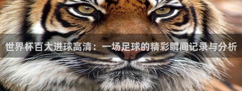 世界杯赛程表2026：世界杯百大进球高清：一场足球的精彩瞬间记录与分析