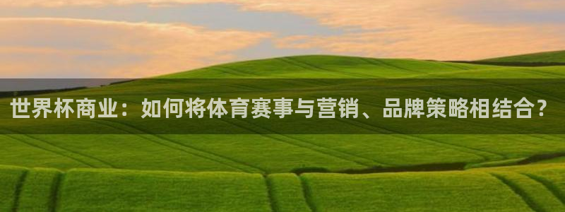 世界杯附加赛赛程表：世界杯商业：如何将体育赛事与营销、品牌策略相结合？