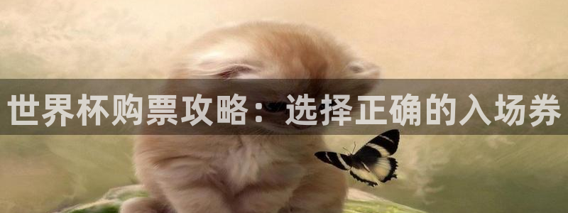 世界杯预选赛排名：世界杯购票攻略：选择正确的入场券