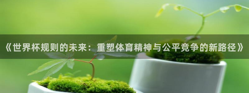 世界杯足球赛2026：《世界杯规则的未来：重塑体育精神与公平竞争的新路径》