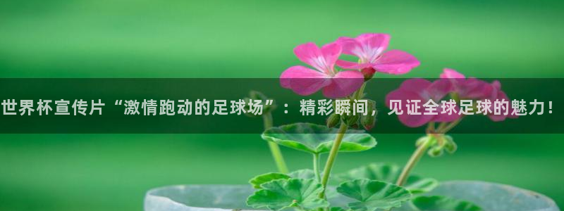2026足球世界杯赛程时间表：世界杯宣传片“激情跑动的足球场”：精彩瞬间，见证全球足球的魅力！
